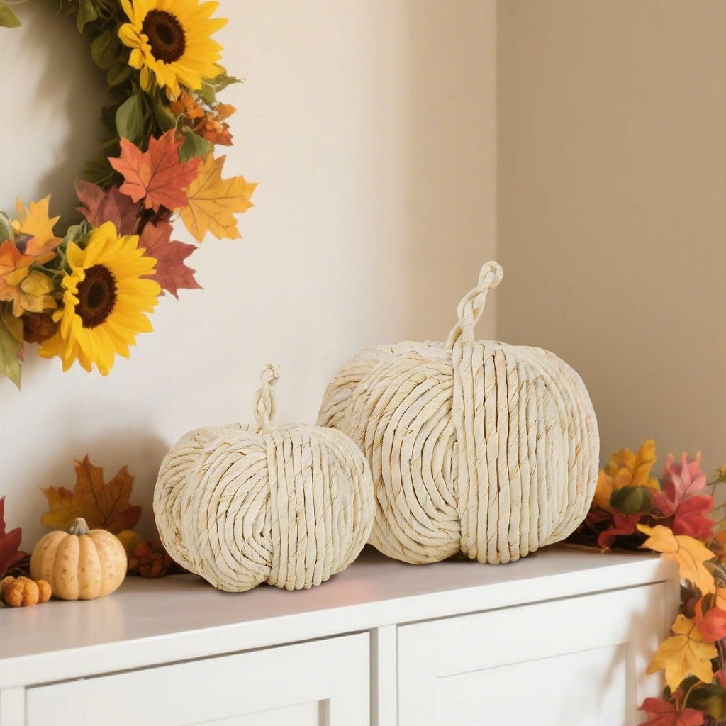 winemana 2 Pack Woven Pumpkin Decor Fall Thanksgiving White Assorted Size